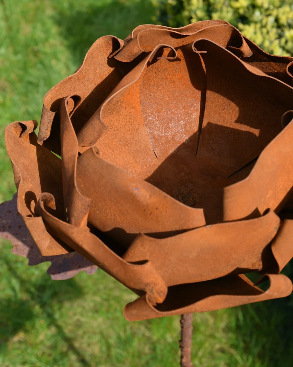 Gevulde Tuinroos Als Tuinprikker Ecoroest 4 Gevulde Tuinroos Als Tuinprikker Ecoroest - Afbeelding 2