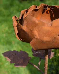 Gevulde Tuinroos Als Tuinprikker Ecoroest 12 Gevulde Tuinroos Als Tuinprikker Ecoroest -Bekend Decoratie Winkel gevulde tuinroos als tuinprikker ecoroest 2
