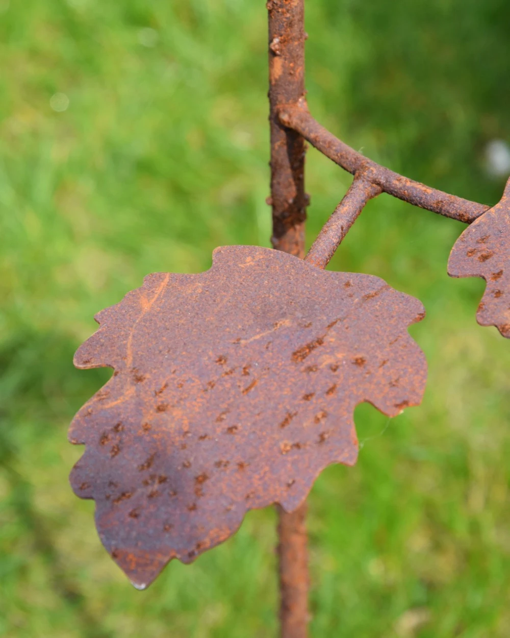 Gevulde Tuinroos Als Tuinprikker Ecoroest 7 Gevulde Tuinroos Als Tuinprikker Ecoroest - Afbeelding 5