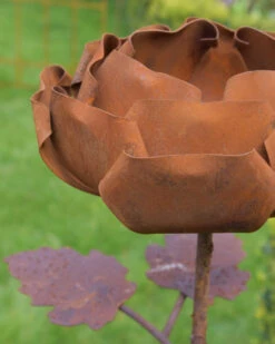 Gevulde Tuinroos Als Tuinprikker Ecoroest 15 Gevulde Tuinroos Als Tuinprikker Ecoroest -Bekend Decoratie Winkel gevulde tuinroos als tuinprikker ecoroest 5