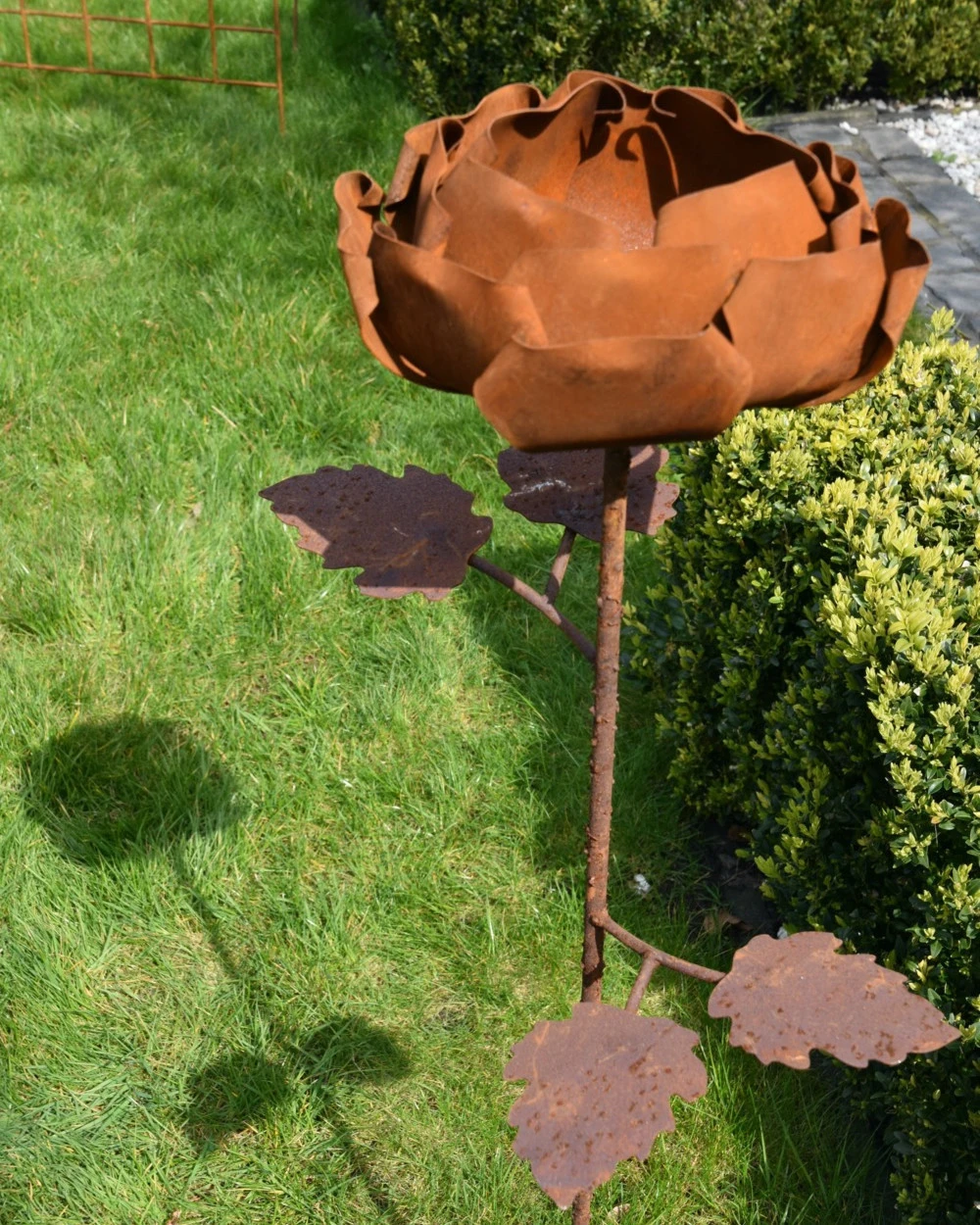 Gevulde Tuinroos Als Tuinprikker Ecoroest 3 Gevulde Tuinroos Als Tuinprikker Ecoroest