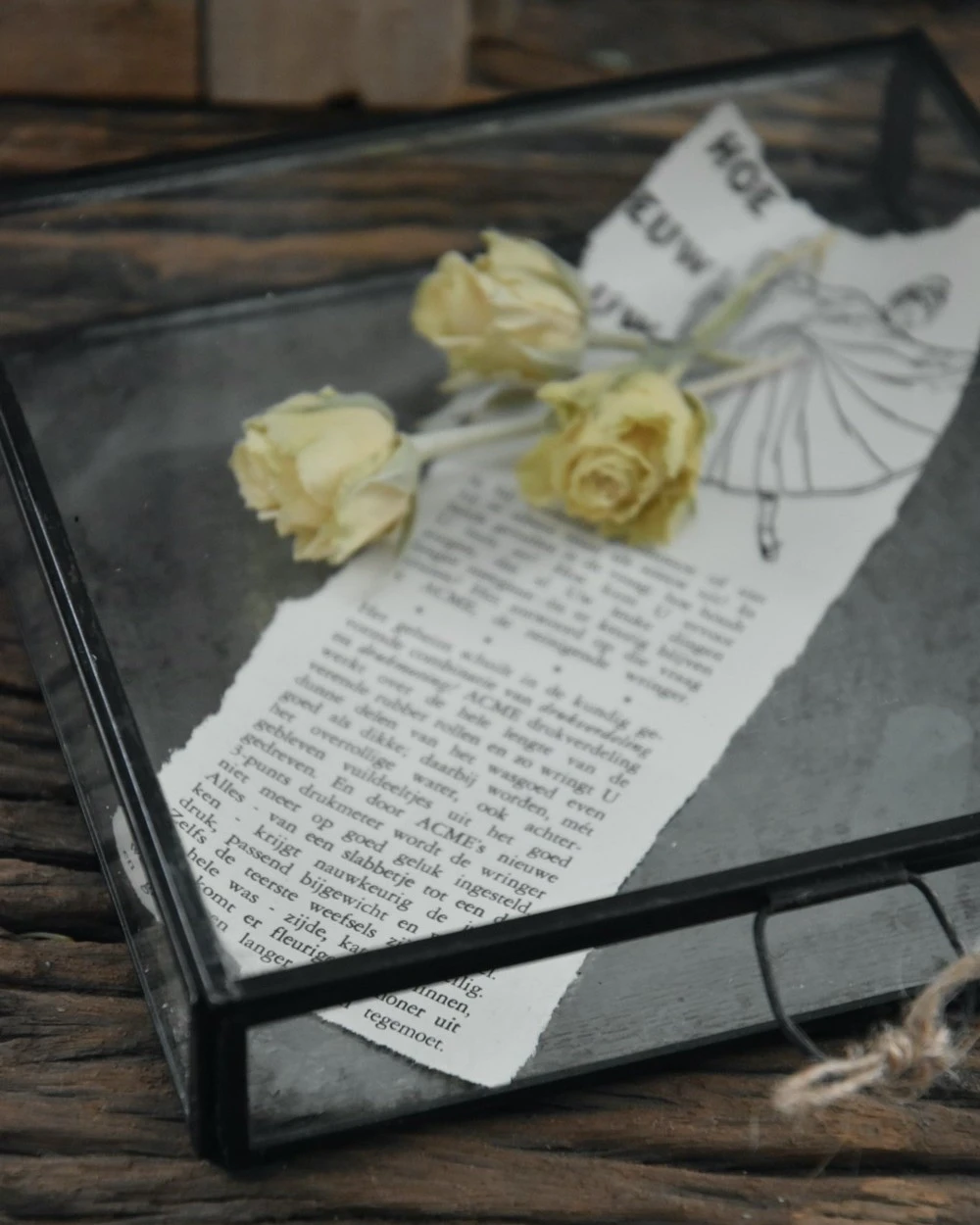 Glazen Kistje Met Zinken Bodem, IB Laursen 5 Glazen Kistje Met Zinken Bodem, IB Laursen - Afbeelding 3