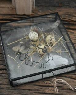 Glazen Kistje Met Zinken Bodem, IB Laursen 15 Glazen Kistje Met Zinken Bodem, IB Laursen -Bekend Decoratie Winkel glazen kistje met zinken bodem ib laursen 6