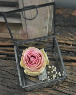 Glazen Kistje Vierkant, IB Laursen -Bekend Decoratie Winkel glazen kistje vierkant ib laursen 4