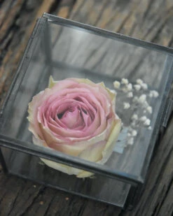 Glazen Kistje Vierkant, IB Laursen -Bekend Decoratie Winkel glazen kistje vierkant ib laursen 6