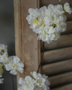 Grote Bloesem Tak Met Weelderige Witte Trossen Bloemen -Bekend Decoratie Winkel grote bloesem tak met weelderige witte trossen bloemen 2