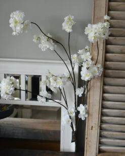 Grote Bloesem Tak Met Weelderige Witte Trossen Bloemen