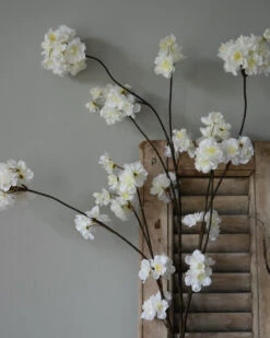 Grote Bloesem Tak Met Weelderige Witte Trossen Bloemen -Bekend Decoratie Winkel grote bloesem tak met weelderige witte trossen bloemen 3