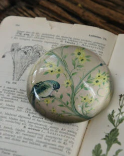 Halve Bol Van Glas Met Vogels In Pastel -Bekend Decoratie Winkel halve bol van glas met vogels in pastel 5