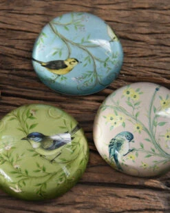 Halve Bol Van Glas Met Vogels In Pastel -Bekend Decoratie Winkel halve bol van glas met vogels in pastel 6