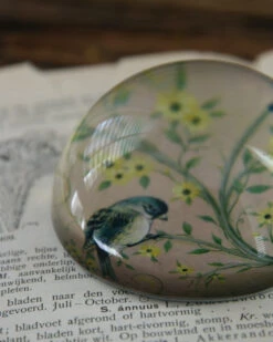 Halve Bol Van Glas Met Vogels In Pastel -Bekend Decoratie Winkel halve bol van glas met vogels in pastel 7