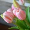 Hollandse Roze Tulpen Bos A 5 Stuks 1 Hollandse Roze Tulpen Bos A 5 Stuks -Bekend Decoratie Winkel hollandse roze tulpen bos a 5 stuks