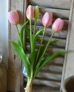 Hollandse Roze Tulpen Bos A 5 Stuks -Bekend Decoratie Winkel hollandse roze tulpen bos a 5 stuks 2