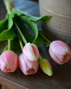 Hollandse Roze Tulpen Bos A 5 Stuks -Bekend Decoratie Winkel hollandse roze tulpen bos a 5 stuks 3