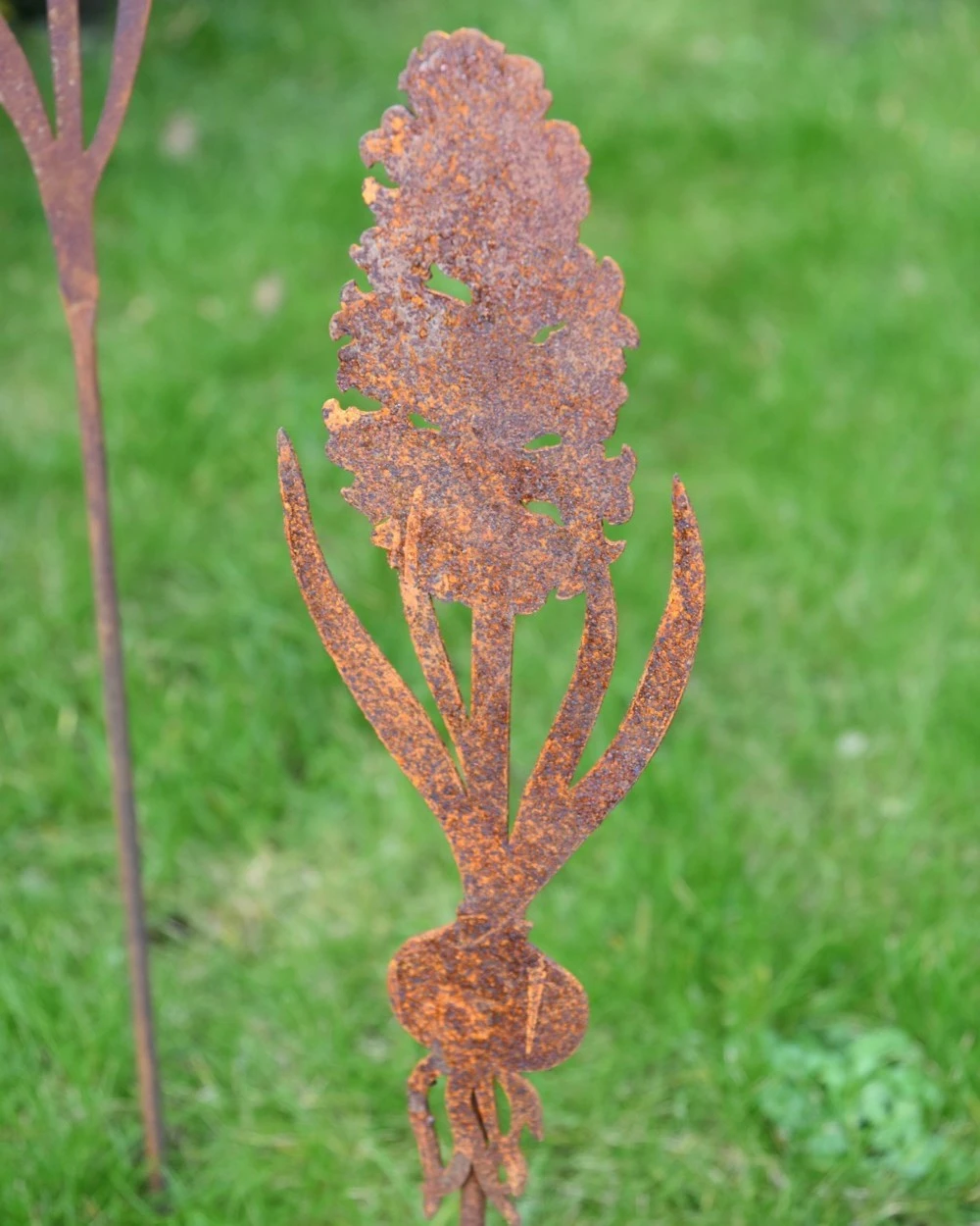 Hyacint Met Bol Op Prikker, Metaal Roest 5 Hyacint Met Bol Op Prikker, Metaal Roest - Afbeelding 3