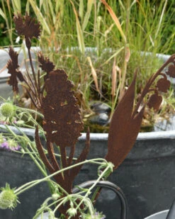 Hyacint Met Bol Op Prikker, Metaal Roest