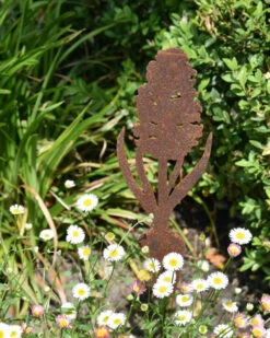 Hyacint Met Bol Op Prikker, Metaal Roest 14 Hyacint Met Bol Op Prikker, Metaal Roest -Bekend Decoratie Winkel hyacint met bol op prikker metaal roest 4