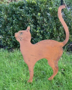 Kat Met Hoge Rug Op Tuinprikker