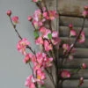 Kersenbloesem Tak Prunus Met Roze Bloemetjes 2 Kersenbloesem Tak Prunus Met Roze Bloemetjes -Bekend Decoratie Winkel kersenbloesem tak zijde prunus met roze bloemetjes