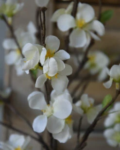 Kersenbloesem Tak Prunus Met Witte Bloemetjes -Bekend Decoratie Winkel kersenbloesem tak zijde prunus met witte bloemetjes 2