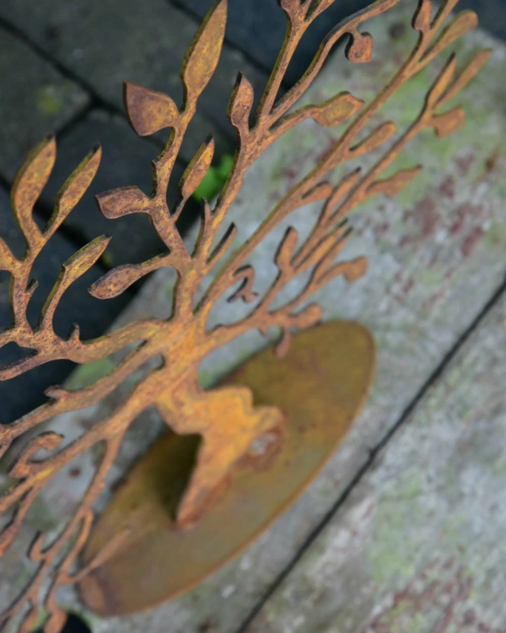 Kleine Boom Metaal Geroest 5 Kleine Boom Metaal Geroest - Afbeelding 3