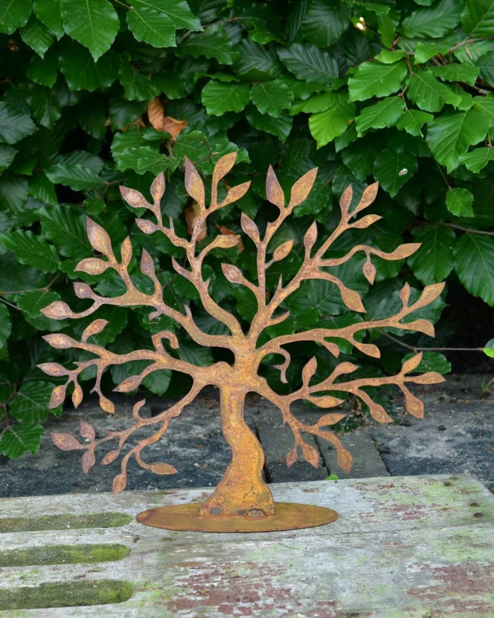 Kleine Boom Metaal Geroest 7 Kleine Boom Metaal Geroest - Afbeelding 5