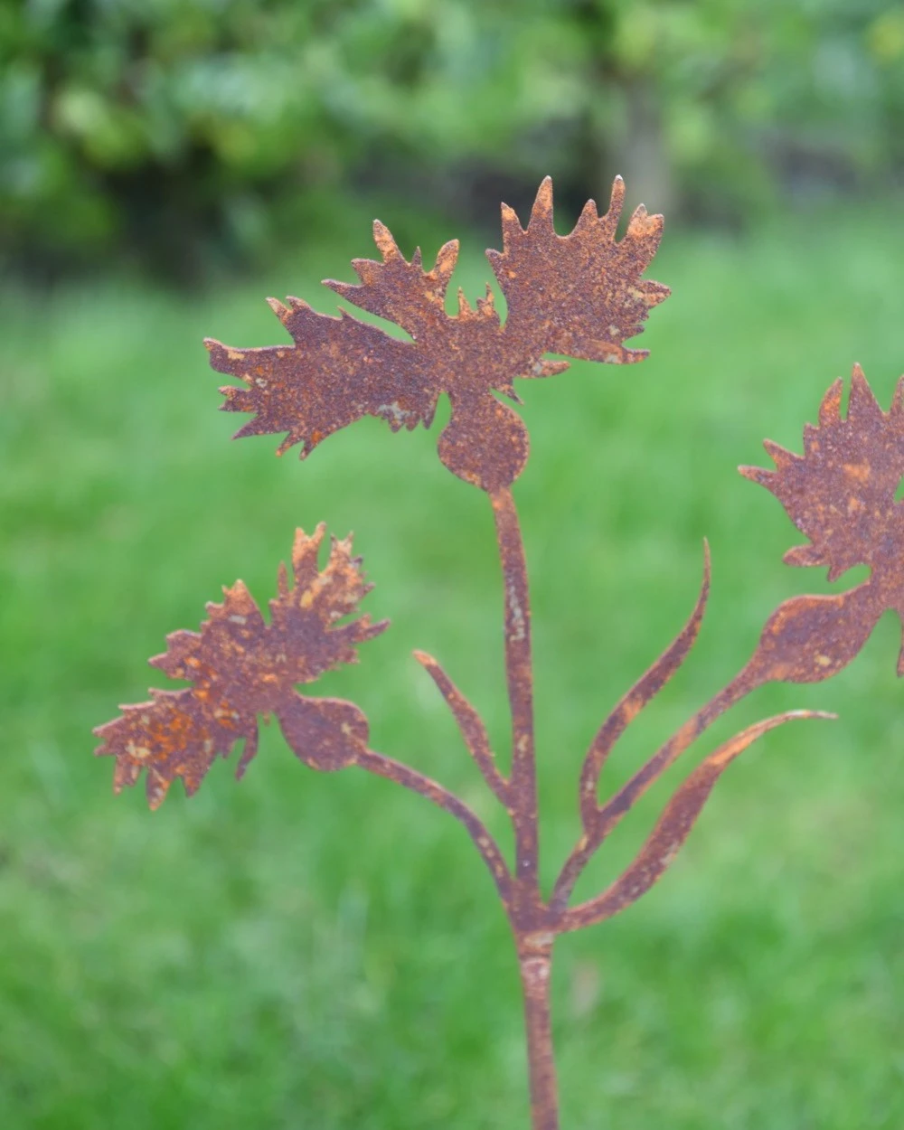 Korenbloem Tuinprikker, Metaal Roest 4 Korenbloem Tuinprikker, Metaal Roest - Afbeelding 2