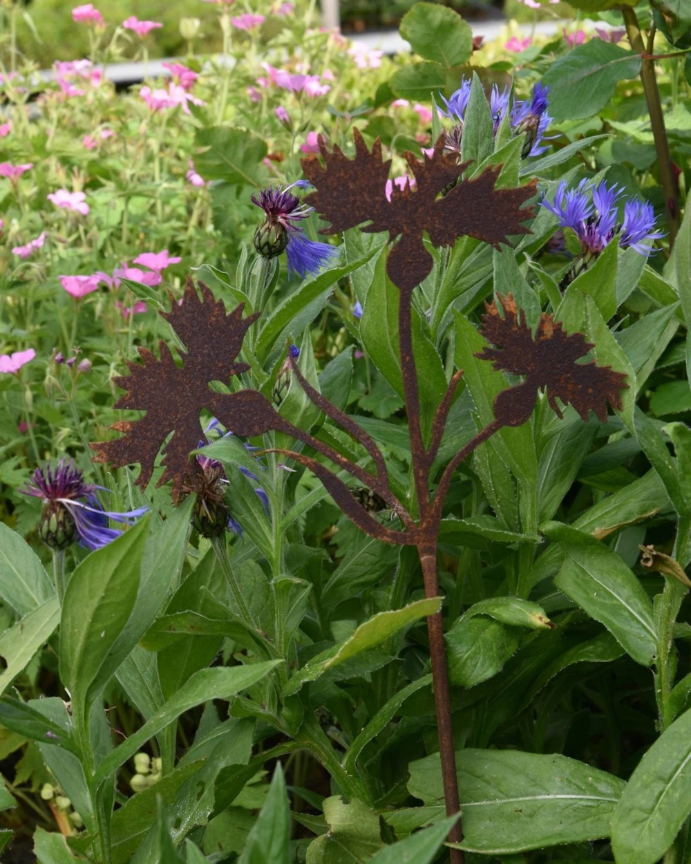 Korenbloem Tuinprikker, Metaal Roest 6 Korenbloem Tuinprikker, Metaal Roest - Afbeelding 4