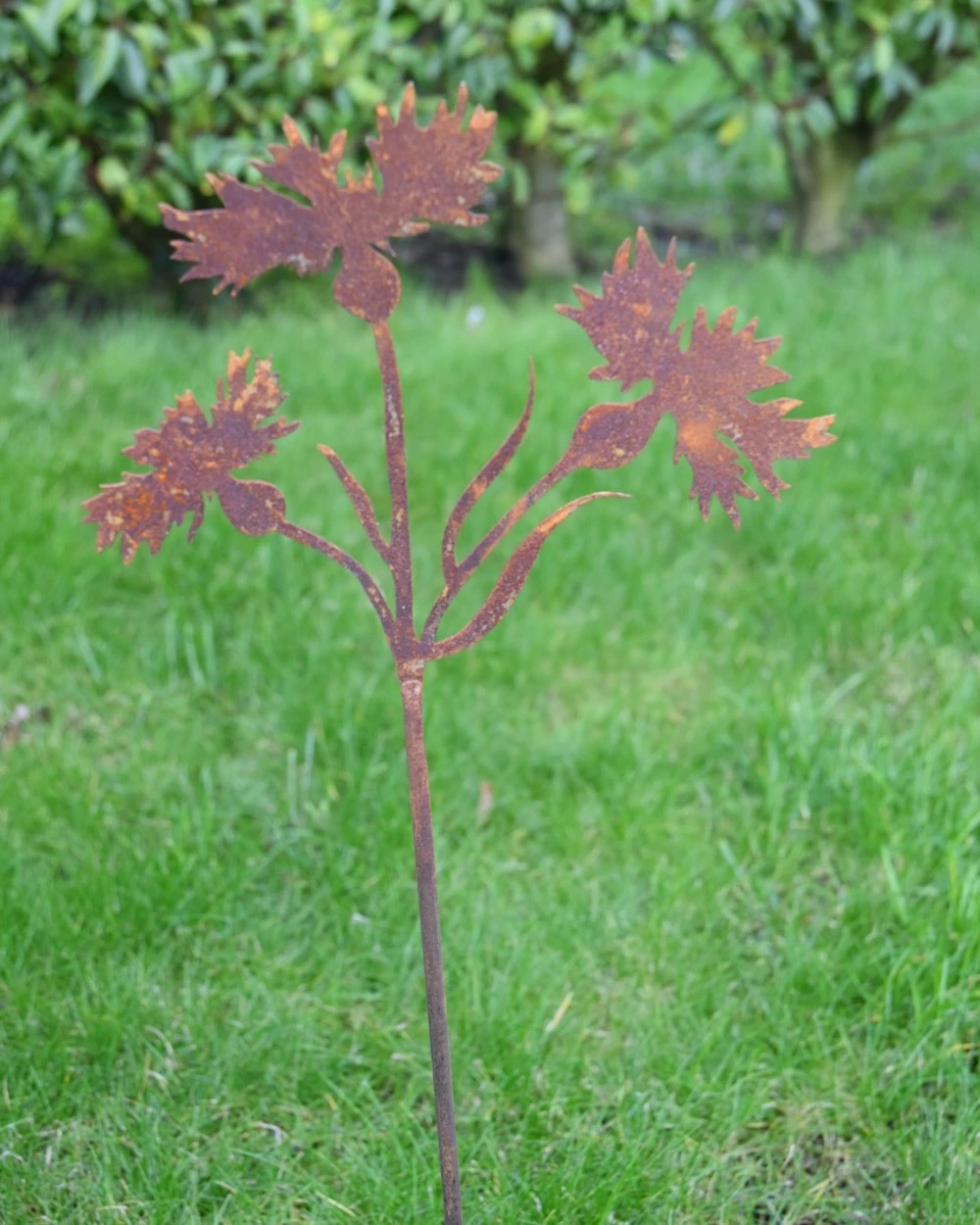 Korenbloem Tuinprikker, Metaal Roest 7 Korenbloem Tuinprikker, Metaal Roest - Afbeelding 5