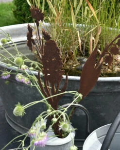 Korenbloem Tuinprikker, Metaal Roest 15 Korenbloem Tuinprikker, Metaal Roest -Bekend Decoratie Winkel korenbloem tuinprikker metaal roest 5