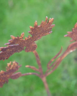 Korenbloem Tuinprikker, Metaal Roest 16 Korenbloem Tuinprikker, Metaal Roest -Bekend Decoratie Winkel korenbloem tuinprikker metaal roest 6