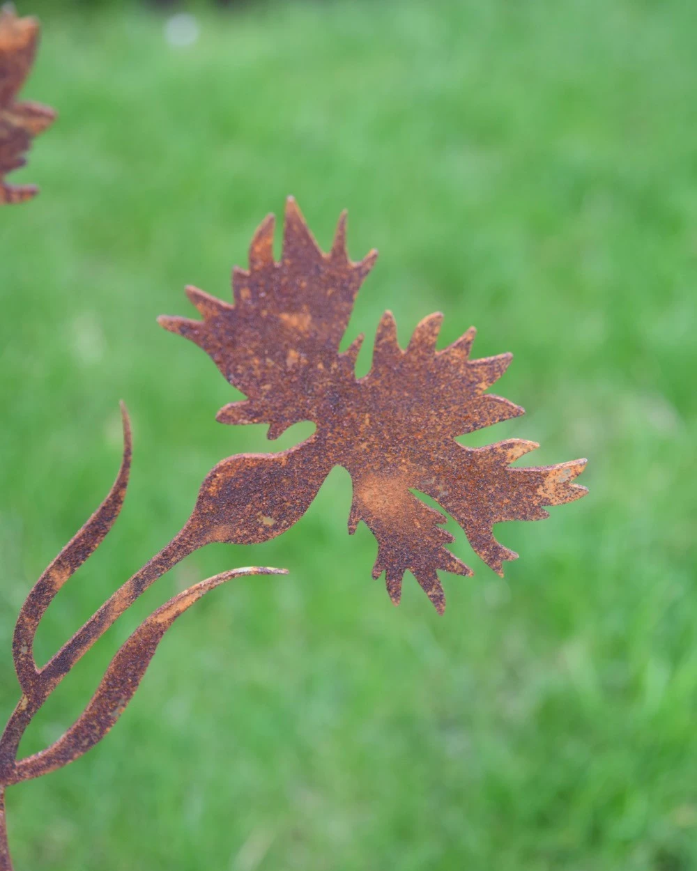 Korenbloem Tuinprikker, Metaal Roest 10 Korenbloem Tuinprikker, Metaal Roest - Afbeelding 8
