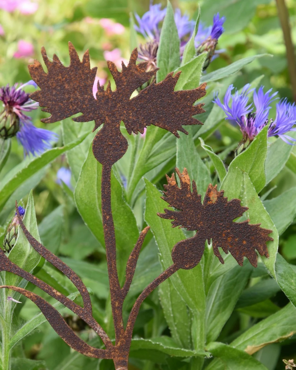 Korenbloem Tuinprikker, Metaal Roest 3 Korenbloem Tuinprikker, Metaal Roest