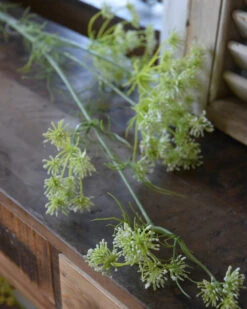 Lange Vertakte Bloementak Witte Dille 12 Lange Vertakte Bloementak Witte Dille -Bekend Decoratie Winkel lange vertakte bloementak witte dille 2