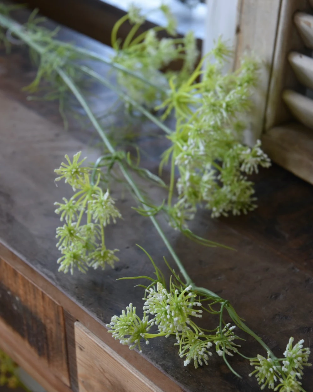 Lange Vertakte Bloementak Witte Dille 5 Lange Vertakte Bloementak Witte Dille - Afbeelding 3
