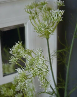 Lange Vertakte Bloementak Witte Dille