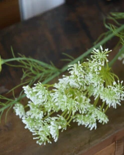 Lange Vertakte Bloementak Witte Dille 13 Lange Vertakte Bloementak Witte Dille -Bekend Decoratie Winkel lange vertakte bloementak witte dille 3