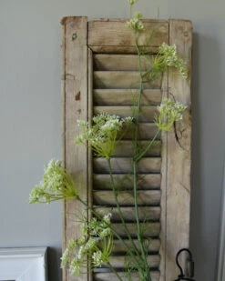 Lange Vertakte Bloementak Witte Dille 14 Lange Vertakte Bloementak Witte Dille -Bekend Decoratie Winkel lange vertakte bloementak witte dille 4