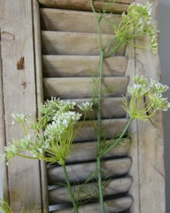 Lange Vertakte Bloementak Witte Dille 15 Lange Vertakte Bloementak Witte Dille -Bekend Decoratie Winkel lange vertakte bloementak witte dille 5
