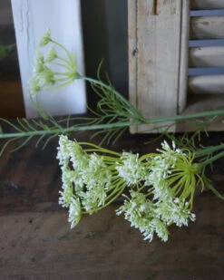 Lange Vertakte Bloementak Witte Dille 17 Lange Vertakte Bloementak Witte Dille -Bekend Decoratie Winkel lange vertakte bloementak witte dille 7