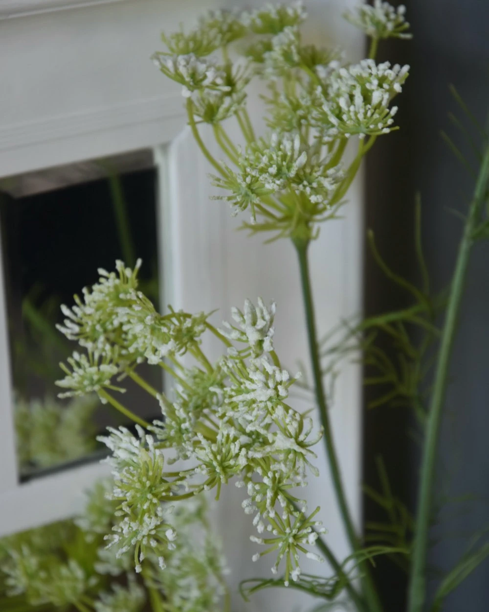Lange Vertakte Bloementak Witte Dille 3 Lange Vertakte Bloementak Witte Dille