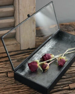 Langwerpig Kistje Met Glazen Deksel 12 Langwerpig Kistje Met Glazen Deksel -Bekend Decoratie Winkel langwerpig kistje met glazen deksel 2