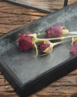 Langwerpig Kistje Met Glazen Deksel