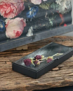 Langwerpig Kistje Met Glazen Deksel 14 Langwerpig Kistje Met Glazen Deksel -Bekend Decoratie Winkel langwerpig kistje met glazen deksel 4