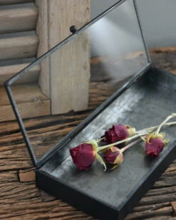 Langwerpig Kistje Met Glazen Deksel 17 Langwerpig Kistje Met Glazen Deksel -Bekend Decoratie Winkel langwerpig kistje met glazen deksel 7