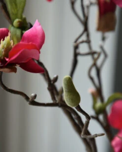 Magnolia Tak In Bloesem Donker Roze, Tulpenboom -Bekend Decoratie Winkel magnolia tak in bloesem donker roze tulpenboom 3