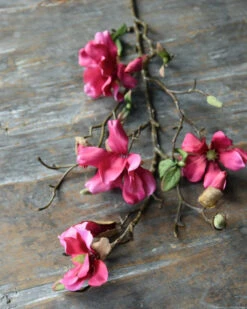 Magnolia Tak In Bloesem Donker Roze, Tulpenboom -Bekend Decoratie Winkel magnolia tak in bloesem donker roze tulpenboom 5