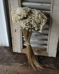 Marcela Droogbloemetjes In Naturel Wit 11 Marcela Droogbloemetjes In Naturel Wit -Bekend Decoratie Winkel marcela droogbloemetjes in naturel wit 2