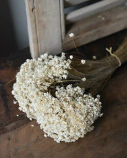 Marcela Droogbloemetjes In Naturel Wit 12 Marcela Droogbloemetjes In Naturel Wit -Bekend Decoratie Winkel marcela droogbloemetjes in naturel wit 3