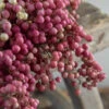 Gedroogde Peperbessen Roze Per Bos -Bekend Decoratie Winkel peperbessen roze